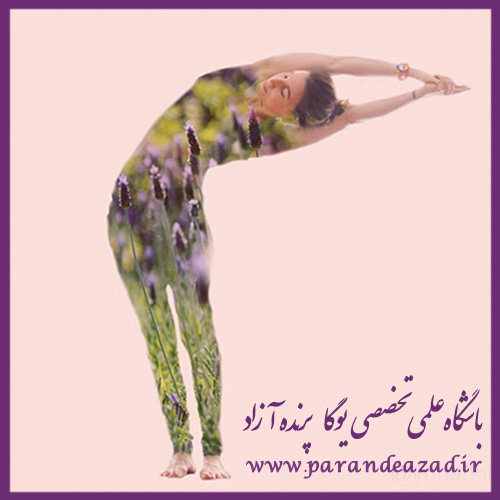,yoga,باشگاه یوگا پرنده آزاد,یوگا استان البرز,یوگا,یوگاکرج,یوگا کرج,آسانا, کلاس یوگا,سلامتی,انعطاف پذیری,کشش عضلات,انقباض عضلات,رفع تنش,رهایی,نرمش,یوگادرمانی,درمان اسکولیوز,سمزدایی روده ها,تعادل_بدن,درمان انحراف طرفی ستون فقرات,تیریاکاتاداسانا,وضعیت جنبش درخت خرما,Detox,Asana,Freedom,Yogathrapy,Yogatraining,Tiryakatadasan, ,Swaying palm tree pose,